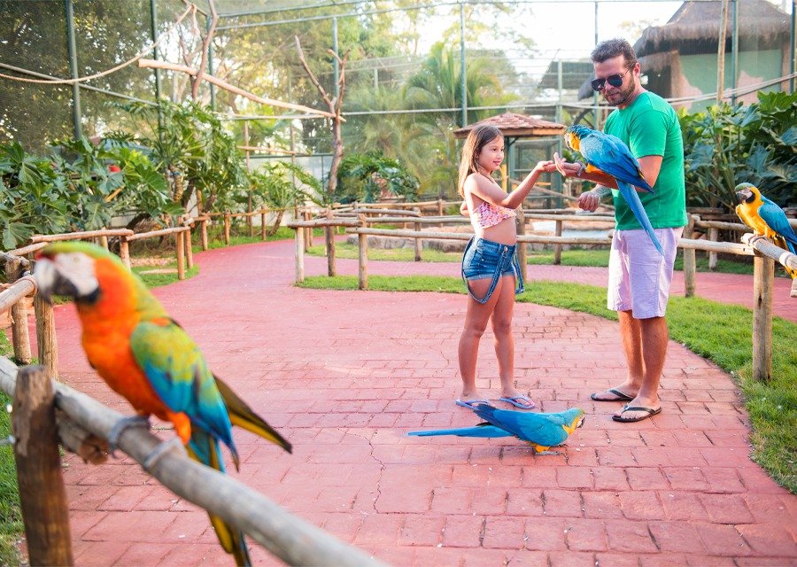 174292157067e2df62660c9260184156